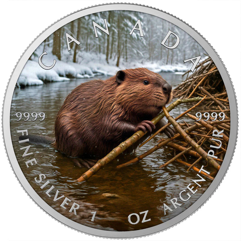 The 2025 Winter Beaver Canadian Maple Leaf Silver Coin