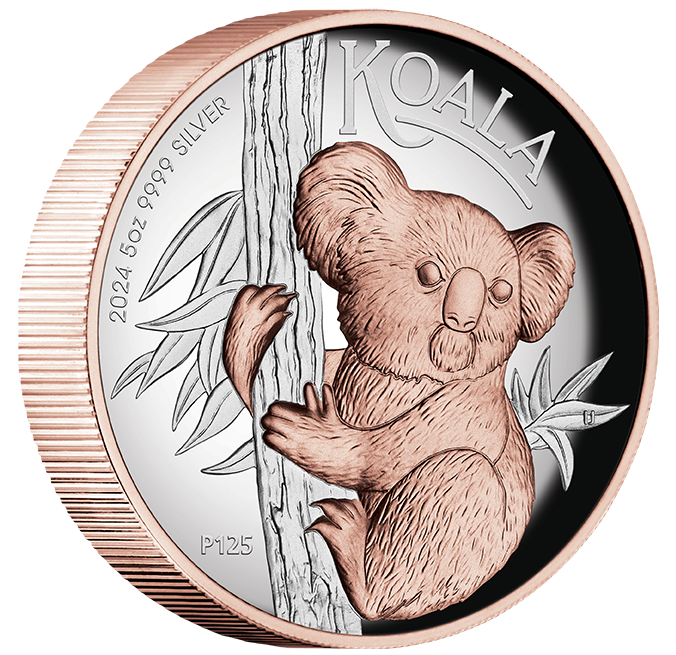 Australian Koala 2024 5oz Silver Proof High Relief Gilded Coin