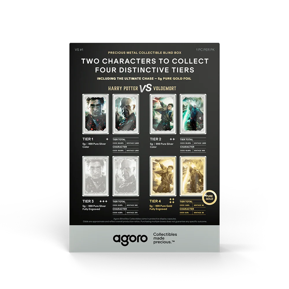 Harry Potter VS Voldemort Blind Box 5g Silver Foil
