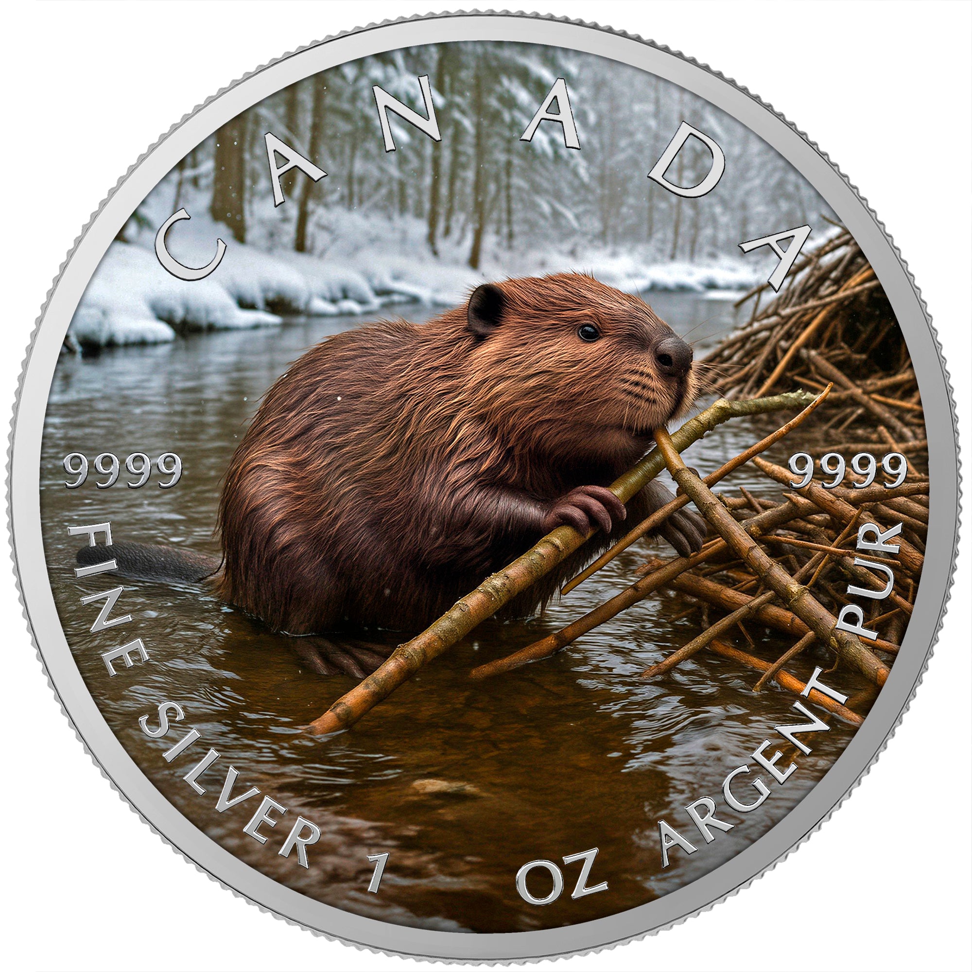 Winter Beaver 2025 Canada Maple Leaf 1oz Silver Coin
