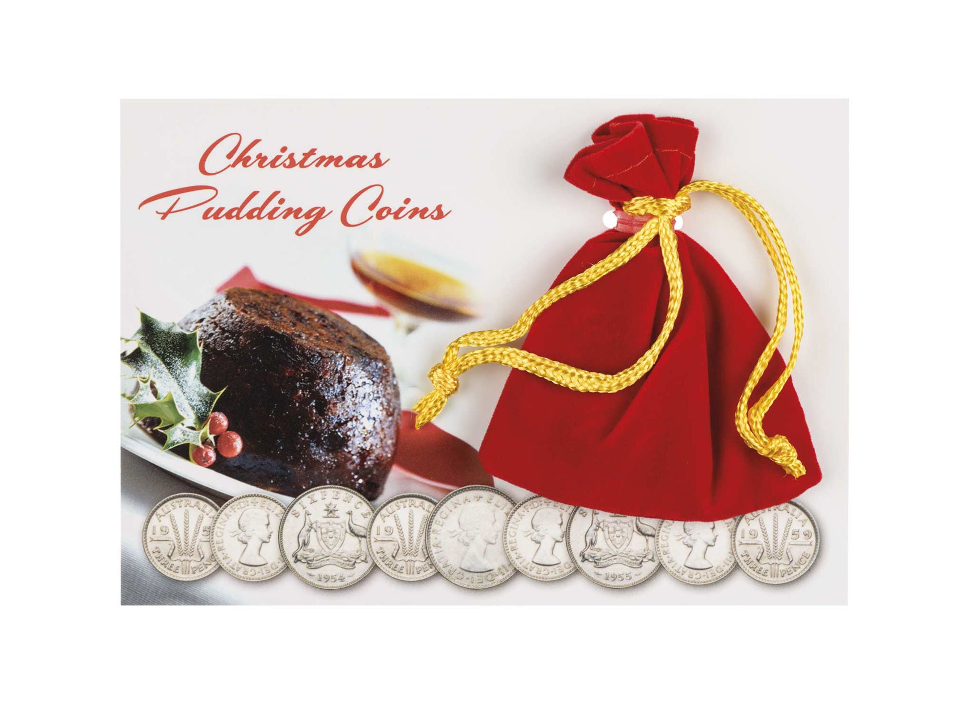 Christmas Pudding Coin Pack