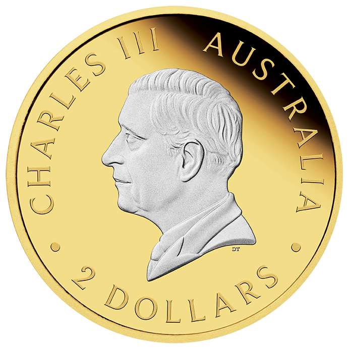 Australian Kangaroo 2024 2oz Silver Proof Reverse Gilded Coin – Mint ...