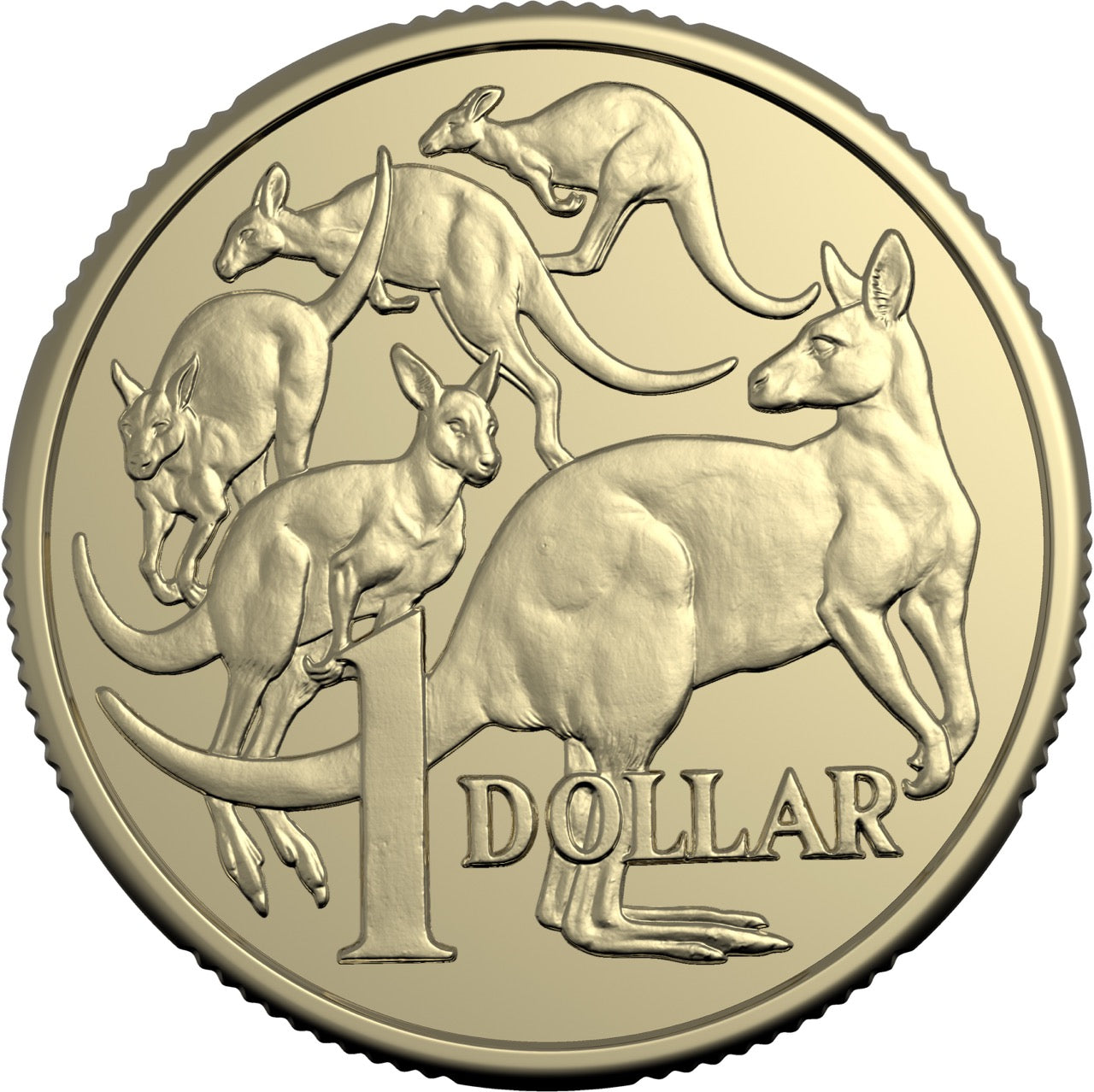 2025 $1 Circulating Coin Roll Non-Premium (H/H or T/T)
