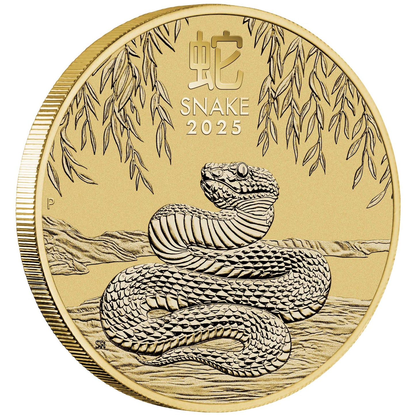 Year of the Snake 2025 Stamp and Coin Cover