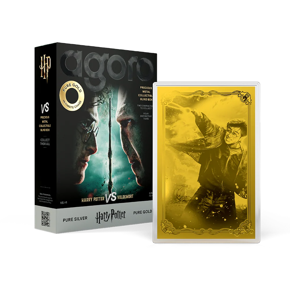 Harry Potter VS Voldemort Blind Box 5g Silver Foil